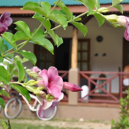 Paodise Guesthouse La Digue Εξωτερικό φωτογραφία